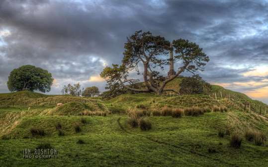 Aucklands One Tree Hill by Ian Rushton screenshot 1