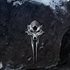 The Elder Scrolls Online: Greymoor