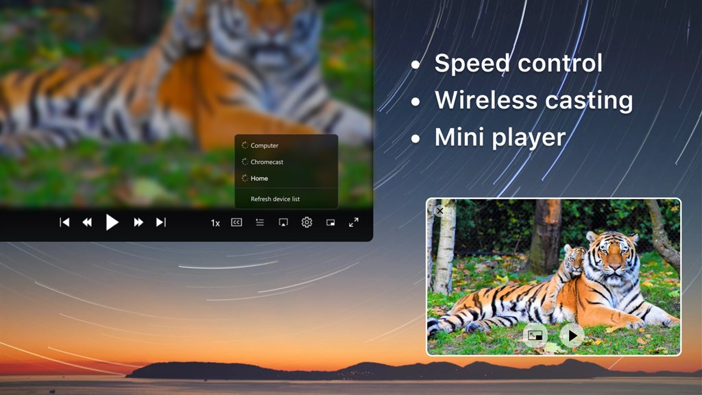 VidForth DVD Player: Free Video Player_5