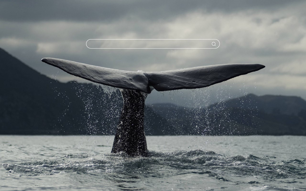 Whales HD Wallpaper New Tab Theme
