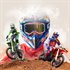 MXGP 24: The Official Game
