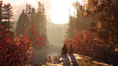 Life is Strange 2: эпизод 1 — скриншот 5