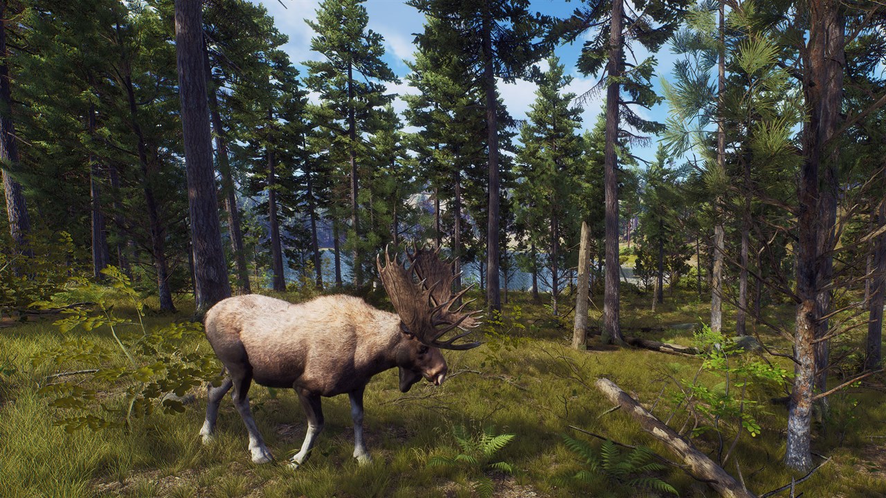 Way of the Hunter screenshot 8