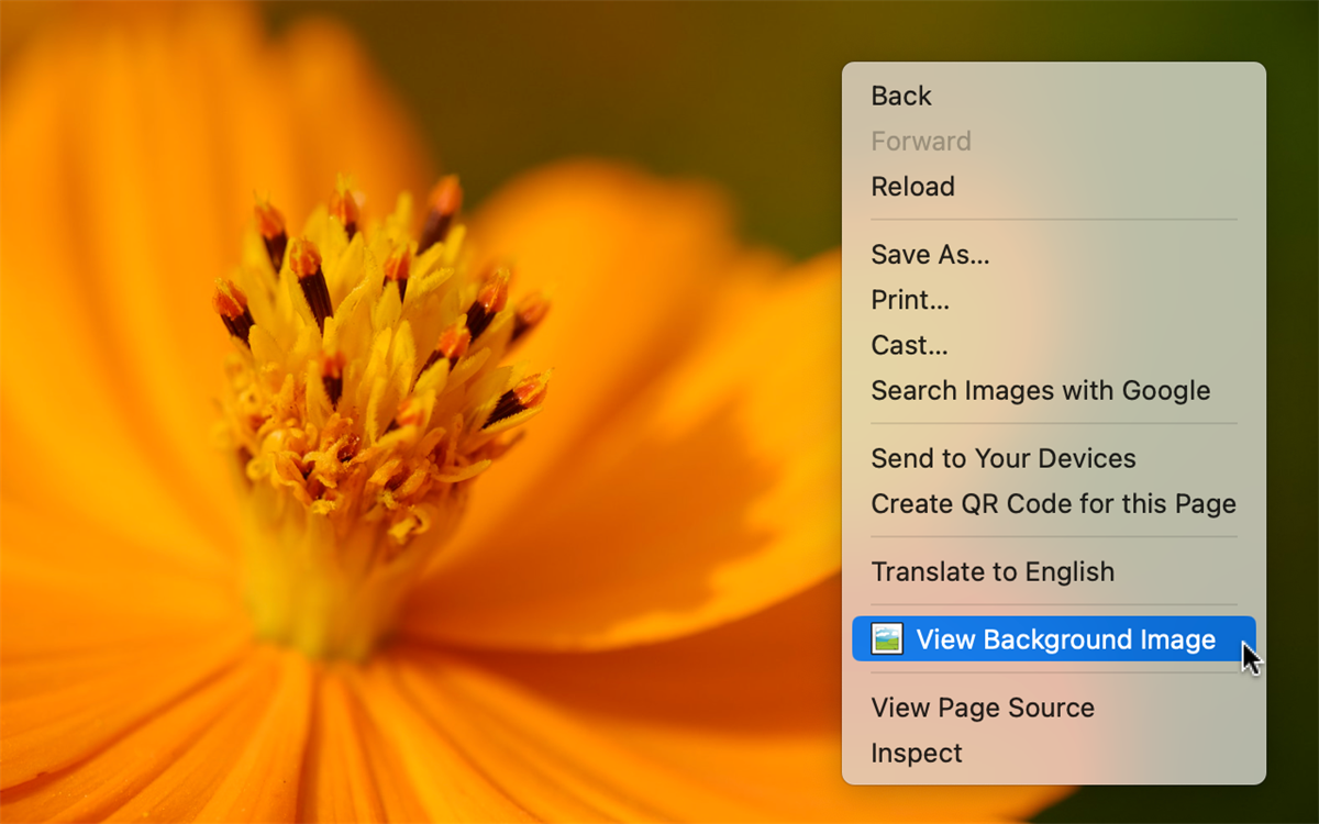 View Background Image