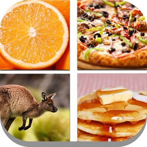 Close Up Pics - Guess the Hidden Object, Food and Animal Photos Word Trivia Quiz Free