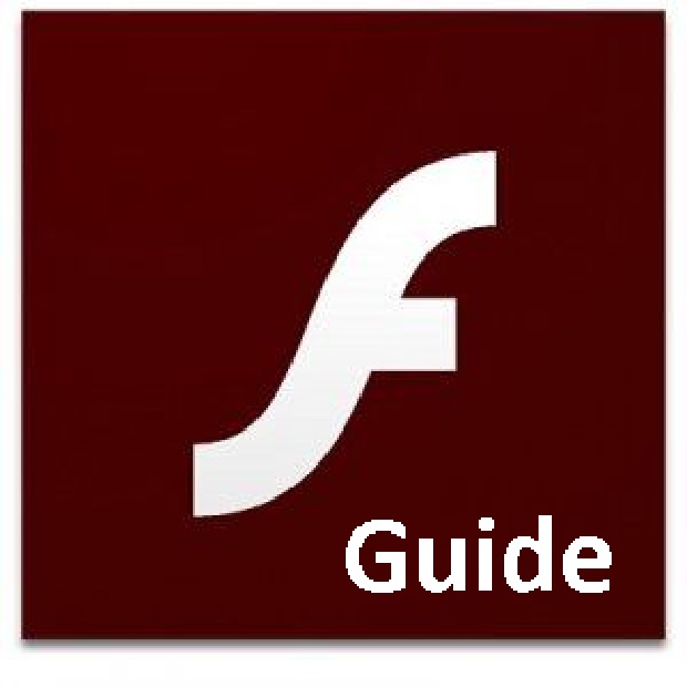 Adobe Flash Player Pro_Guide