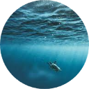 Underwater Ocean Wallpaper New Tab icon