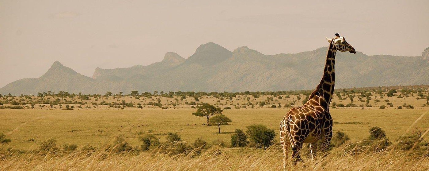 Uganda Wallpaper New Tab marquee promo image