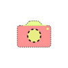 Undercover Camera