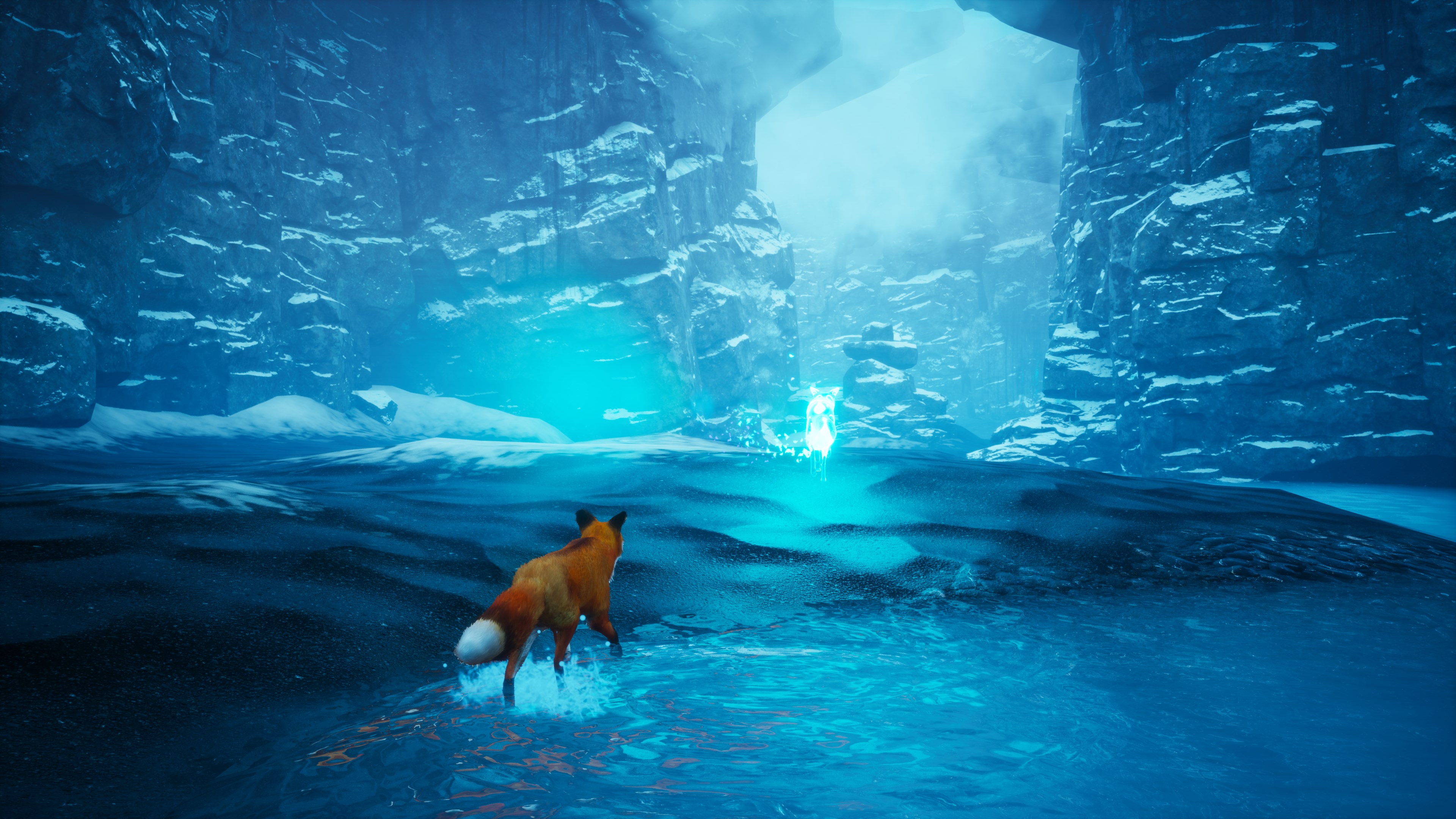 Spirit of the North: Enhanced Edition | Xbox | Chiave | Privato