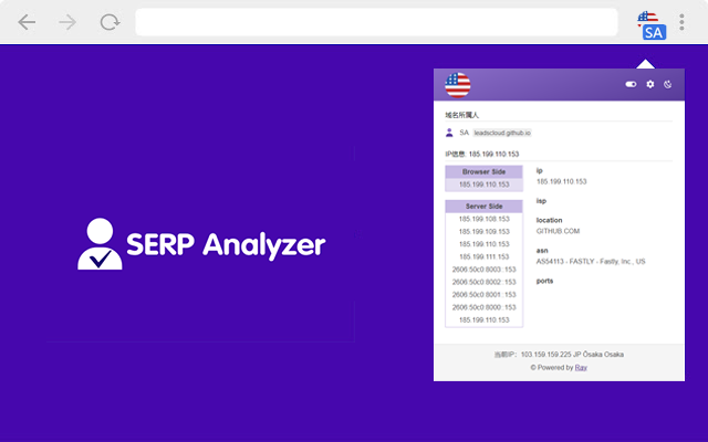 SERP Analyzer - Show domain owner & IP