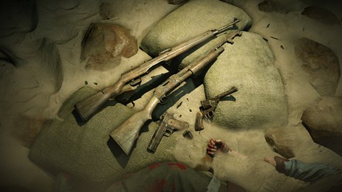 Zombie Army 4: Desert Damaged Weapon Skins