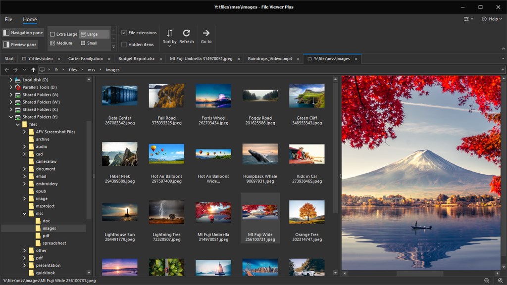 File Viewer Plus 4_6