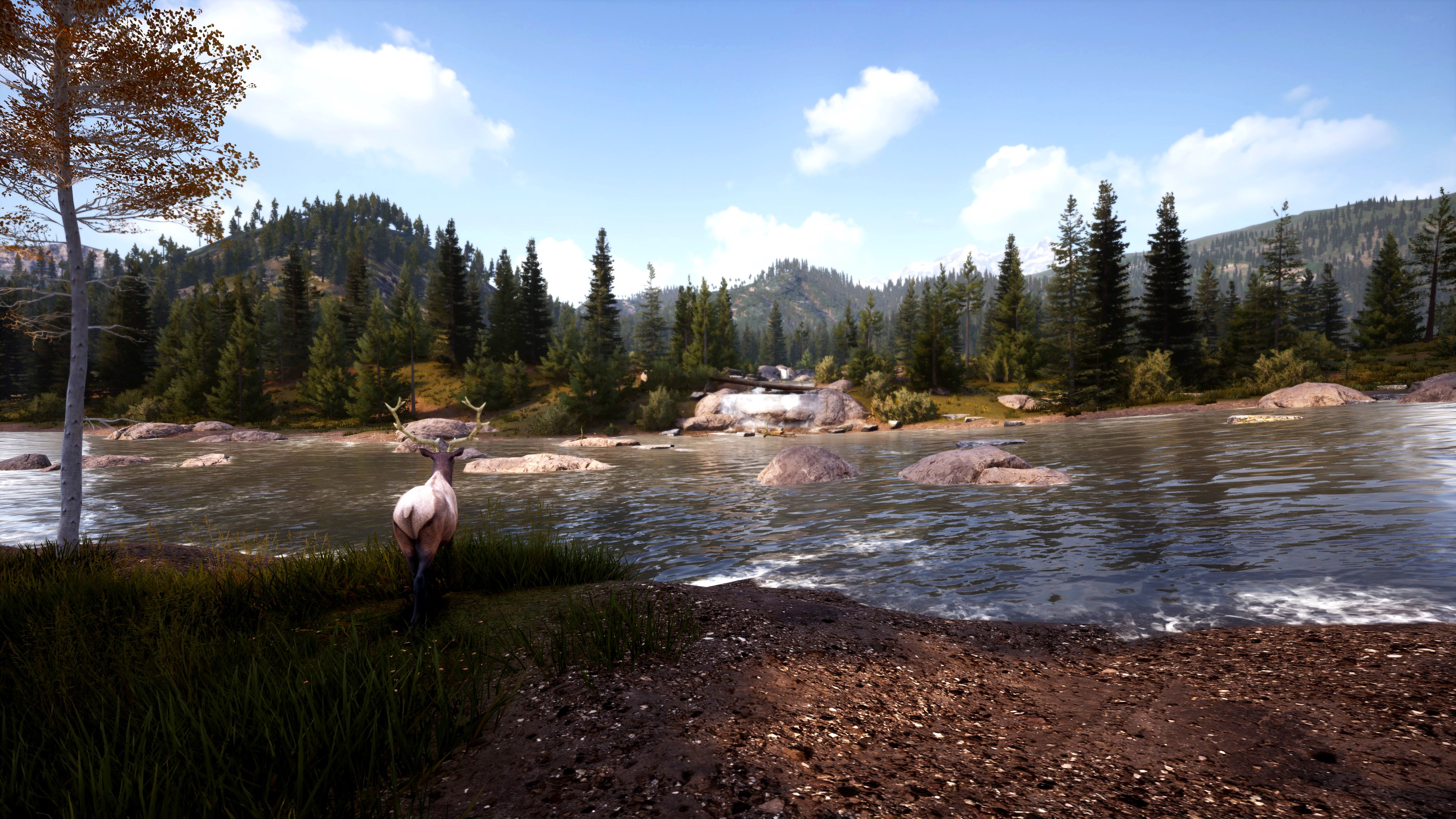 Hunting Simulator 2 Bear Hunter Edition