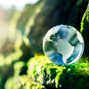 Globe in Nature