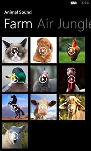 Animal Sounds: Play and Enjoy screenshot 3