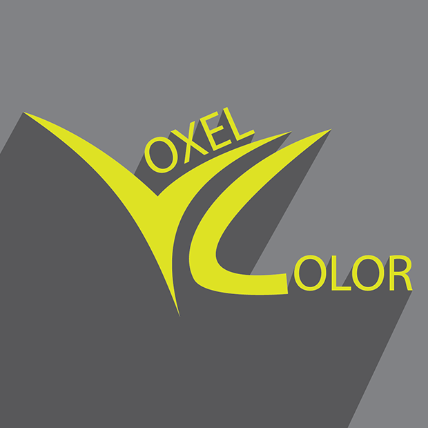 Voxel Color
