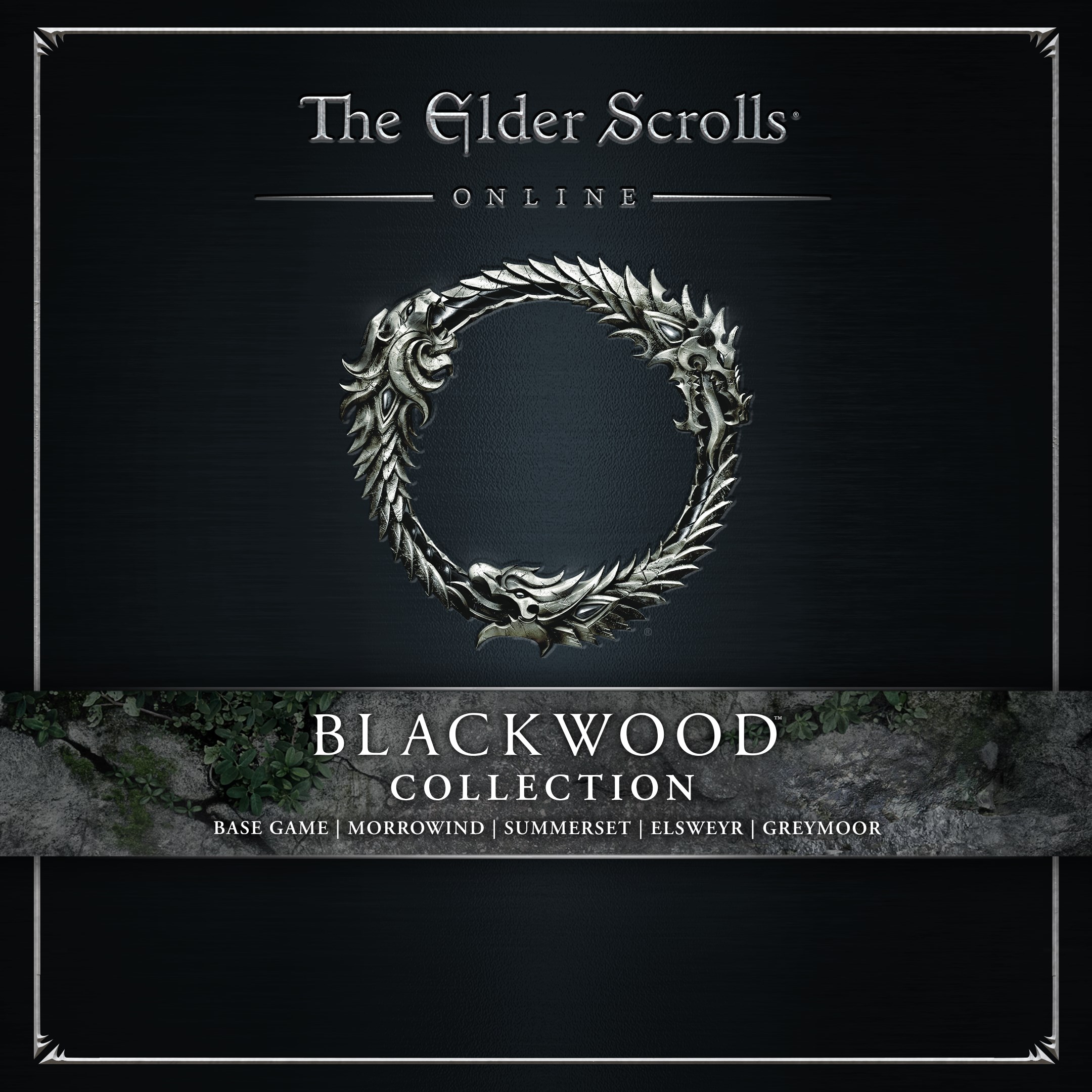 The Elder Scrolls Online Collection: Blackwood