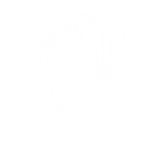 SAS Flash Cards