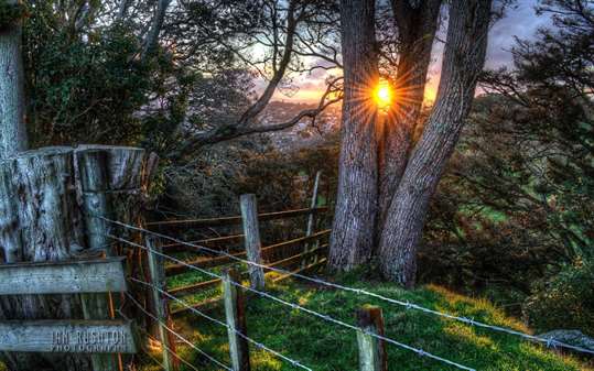 Aucklands One Tree Hill by Ian Rushton screenshot 3