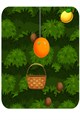 Khalid Fruit Scoop