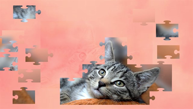Jigsaw Puzzle Cats screenshot 3