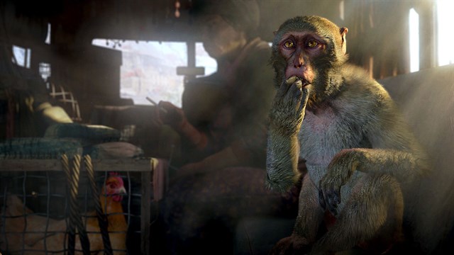 FAR CRY 4 + FAR CRY PRIMAL BUNDLE screenshot 3