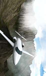 Falcon10 Flight Simulator screenshot 2