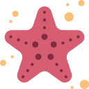 starfish HD Wallpapers - Custom New Tab