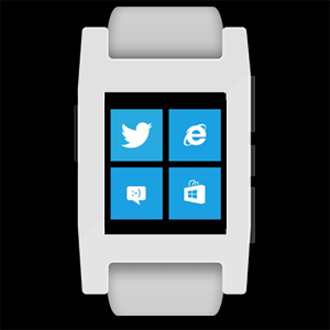 pebble watch store