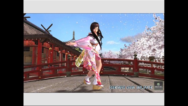 DEAD OR ALIVE 4 — 8