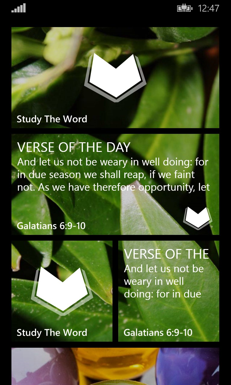 Study The Word