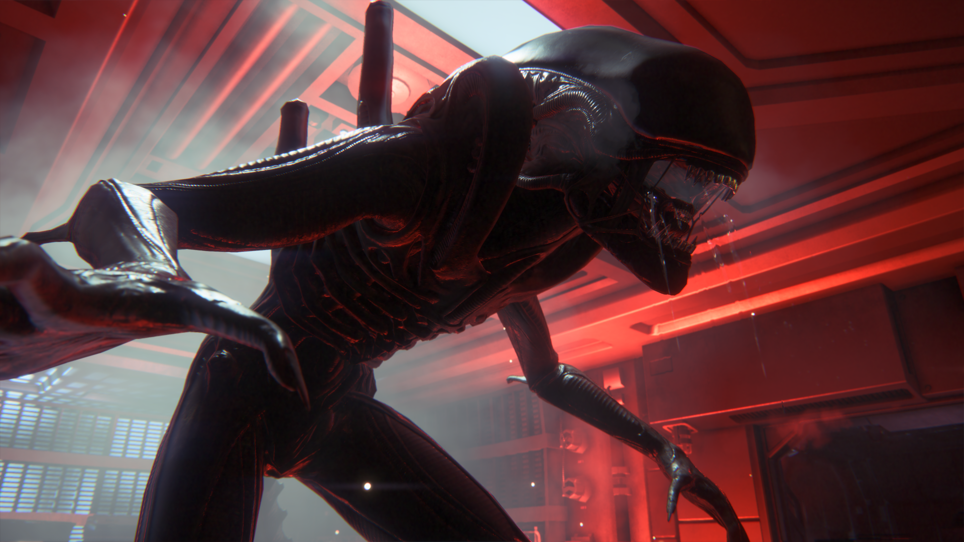 Alien: Isolation - Crew Expendable | Xbox | Chiave | Privato