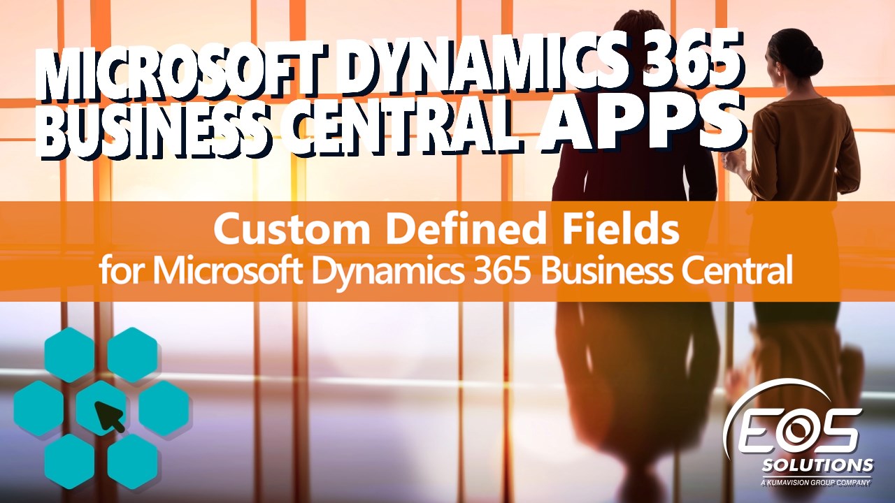 Snapshot 1 of Custom Defined Fields