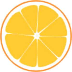 橘子起始页 icon