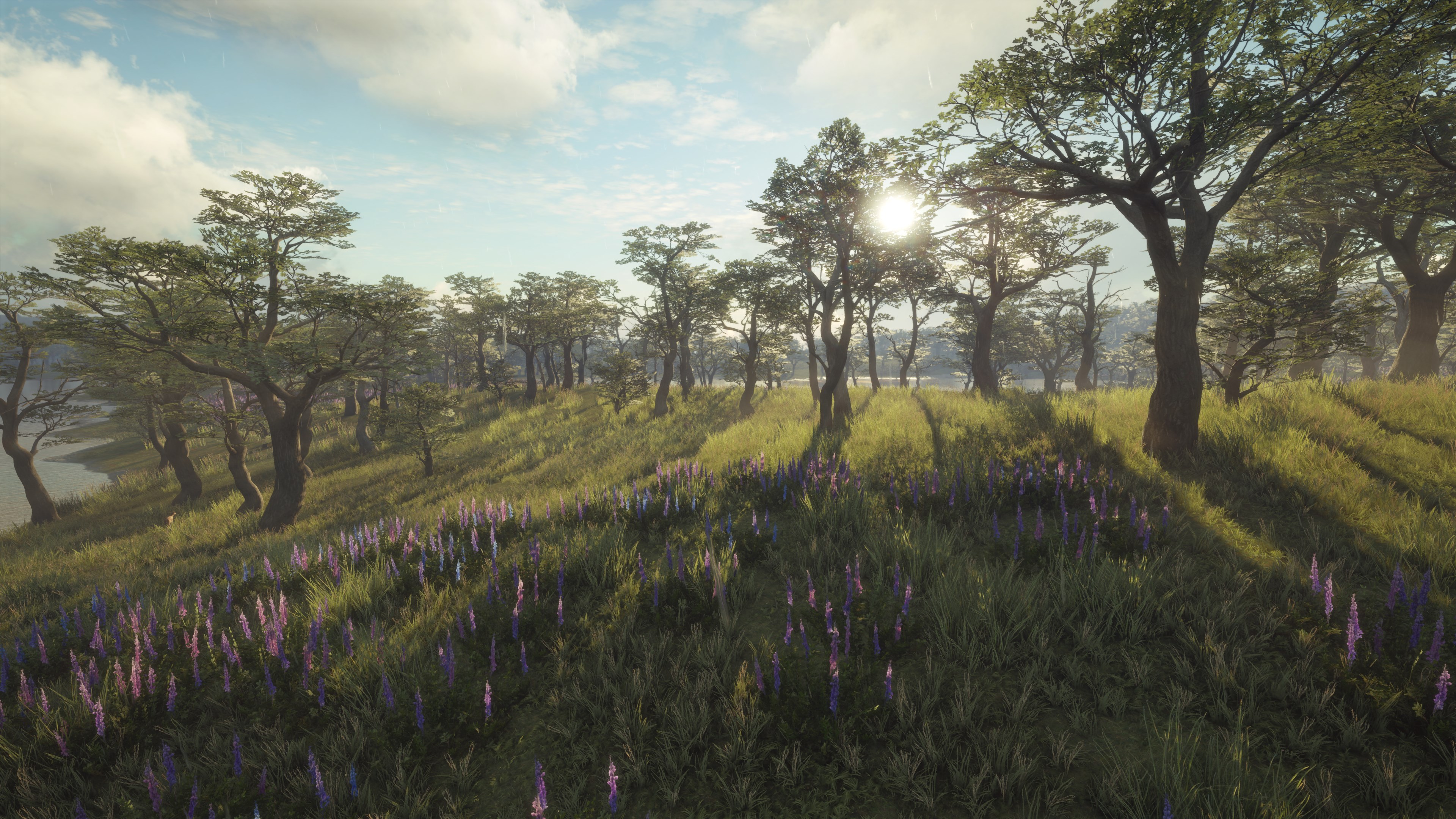 theHunter: Call of the Wild™ - Parque Fernando - Windows 10 | Xbox | Chiave | Privato