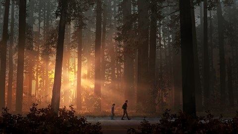 Life is Strange 2 : pack de langue japonais