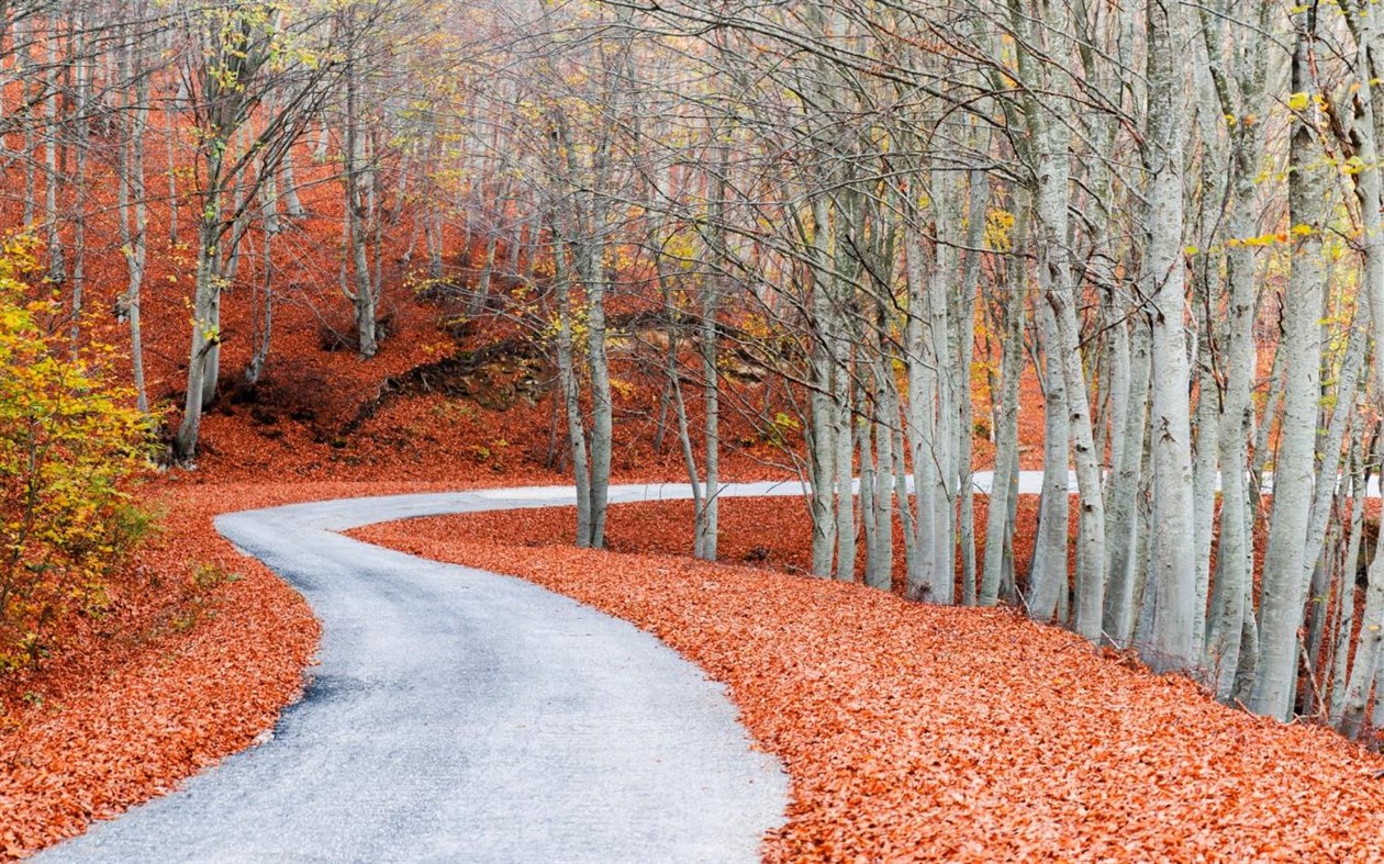 #3. Rambling Pathways (Windows) Podle: Microsoft Corporation