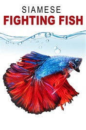 Siamese Fighting Fish