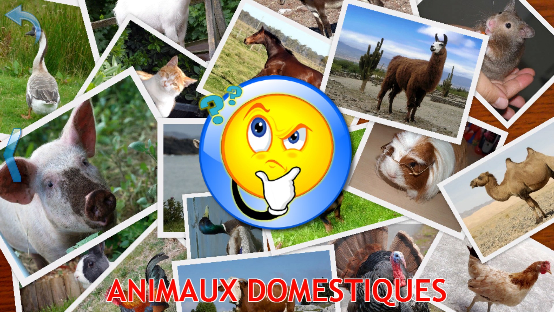 Recevoir Cris D Animaux Pour Les Enfants Jeux Bebe Gratuit Microsoft Store Fr Ci