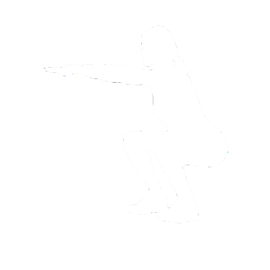 200 Squats Trainer