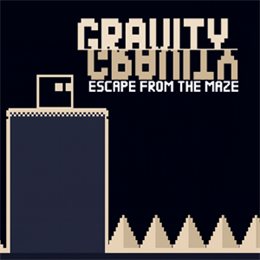 Aperçu Gravity Escape From The Maze