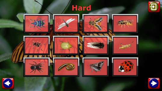 Kids Insect Jigsaw Puzzle and Memory Games - educational fun for preschool children screenshot 3