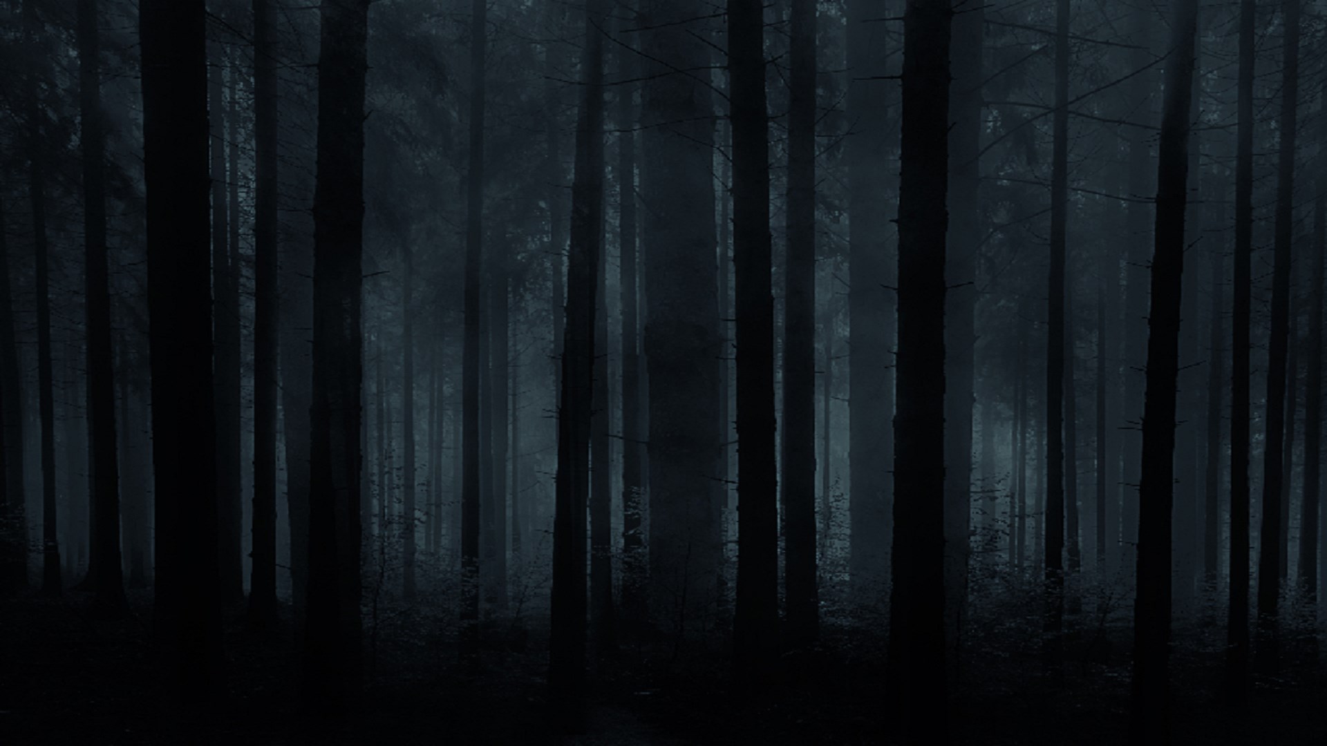 The woods collection dark. Страшный лес. Темный лес. Ночной лес. Лес темный страшный.