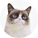 Grumpy Cat Wallpaper New Tab icon