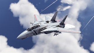 War Thunder - F-14D Bundle screenshot 5