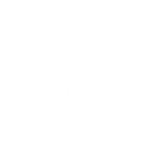 AV Cast