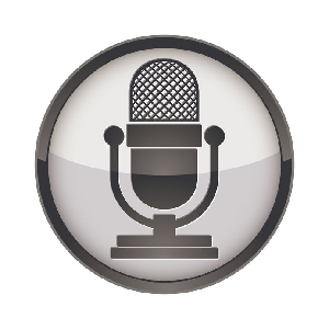 VocalPDF Pro Edition