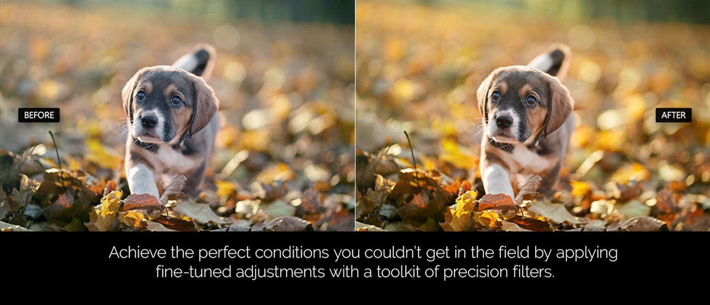 #4. ACDSee Photo Studio Home (Windows) Ved: ACD Systems International Inc.