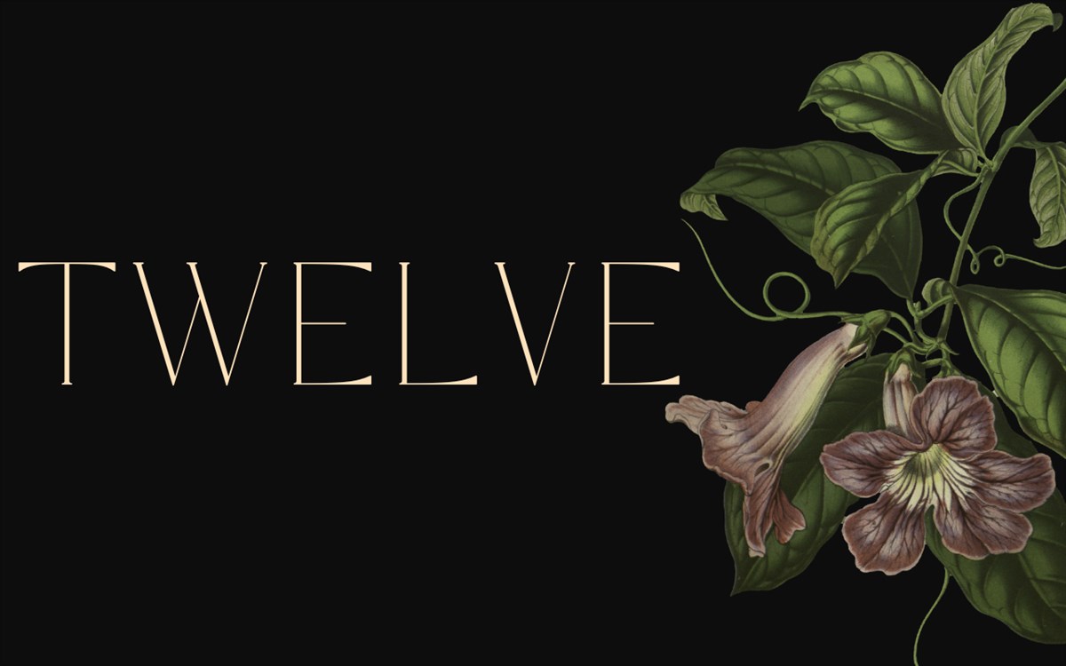 Twelve Flower Wallpaper New Tab - Complemento de edge